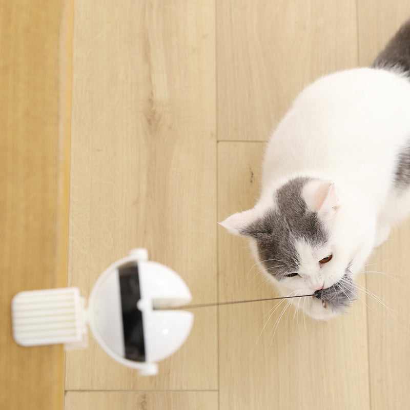 Electric Automatic Lifting Cat Ball Toy | Clip-On Interactive Play