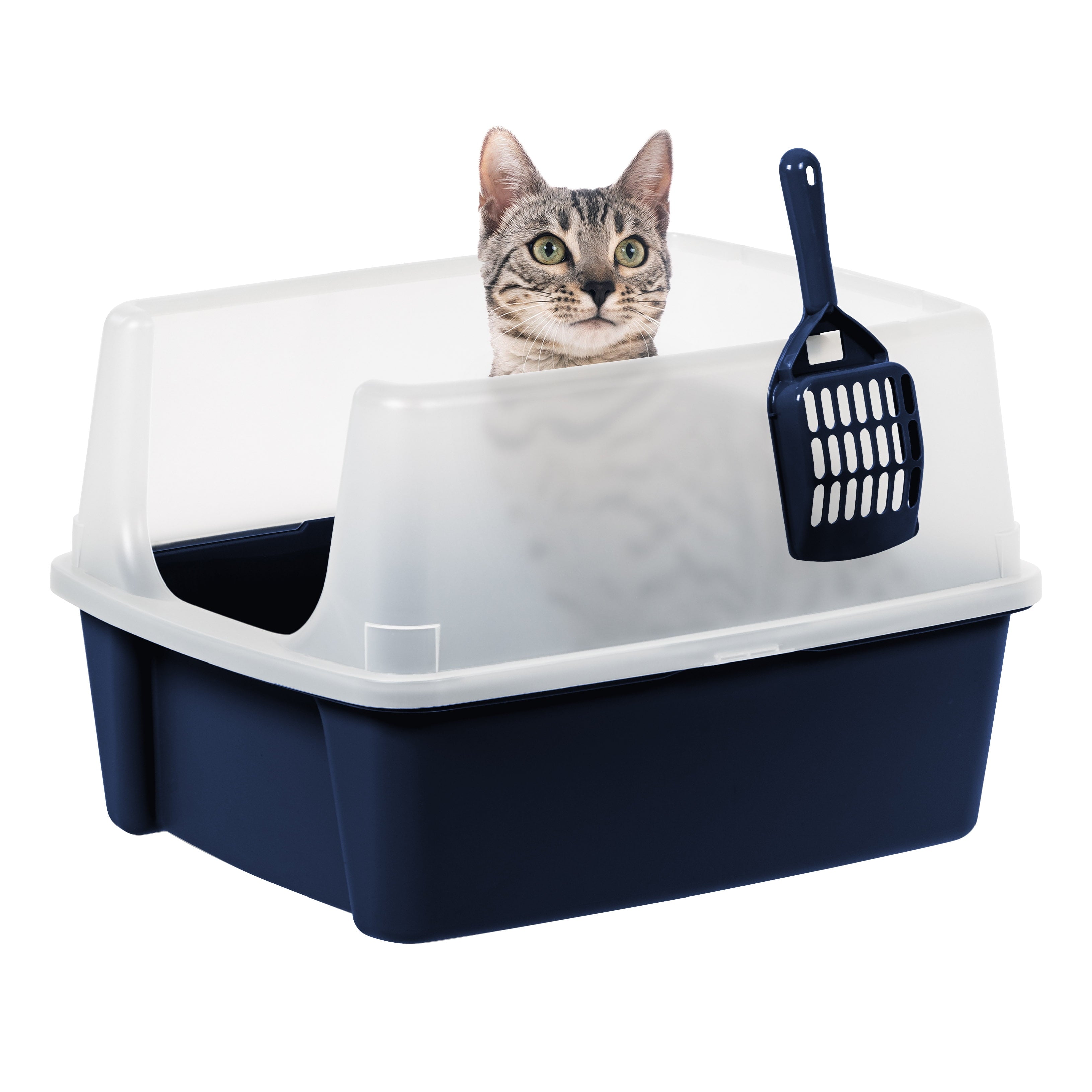 Navy Blue Standard Litter Box