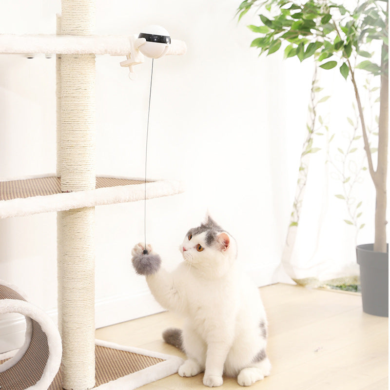 Electric Automatic Lifting Cat Ball Toy | Clip-On Interactive Play