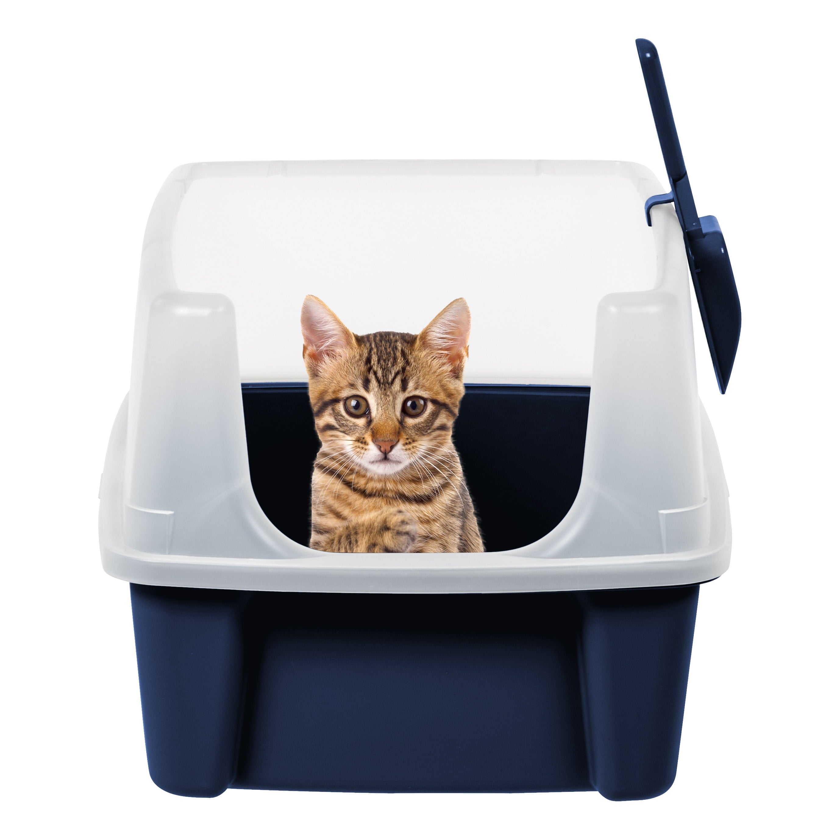 Navy Blue Standard Litter Box