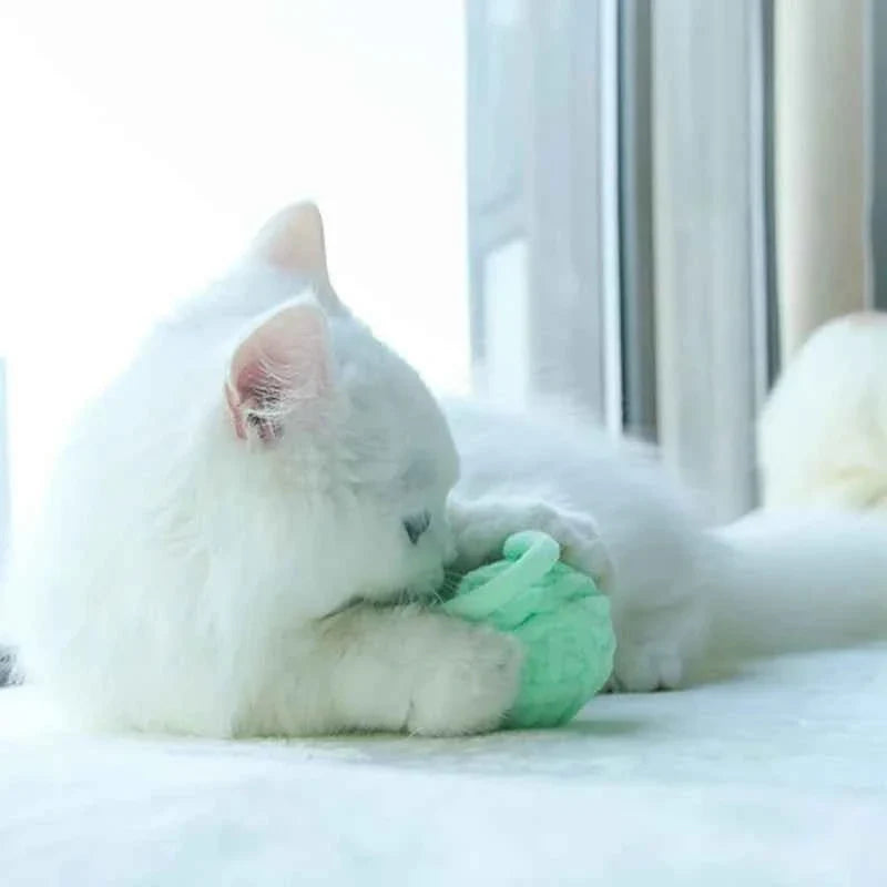 Yarn Ball Cat Toys with Bell | Colorful, Jingly & Irresistible